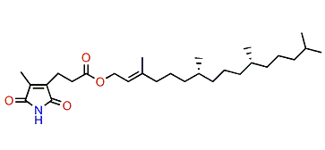 4',5'-Dehydrodiodictyonema A